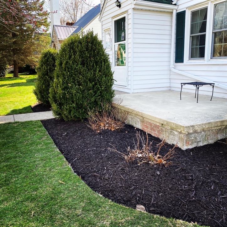 Fresh black mulch installed in a clean landscape bed
